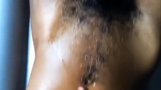 Negra Peluda
