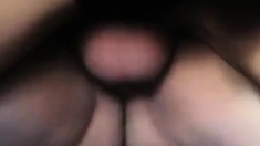 Sveltina