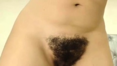 Colombian hairy girl cam