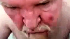 Daddy bear sucking cock