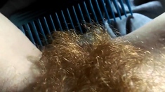 hairy redhead