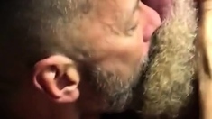 Hairy Bears Passionate Kissing