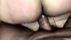 greek blowjob and fucking
