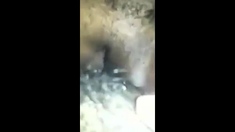 Boi Pussi Gets Wet..