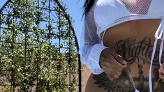 Amateur blowjob close up