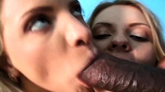 Sexy ebony girl wakes up and sucks a big fat cock