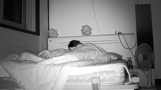 서로 마사지 해주는 알콩달콩 커플