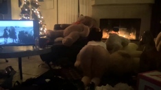 Real Homemade Amateur Hidden Cam 1