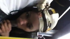 Brain's Blowjob On The Bus