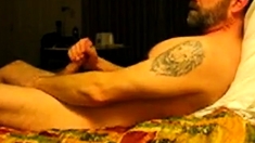 Hairy bear jacking on bed