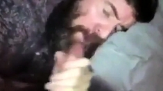 Sexy bearded guy sucks big hairy dick