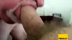 Daddy bear sucking cock